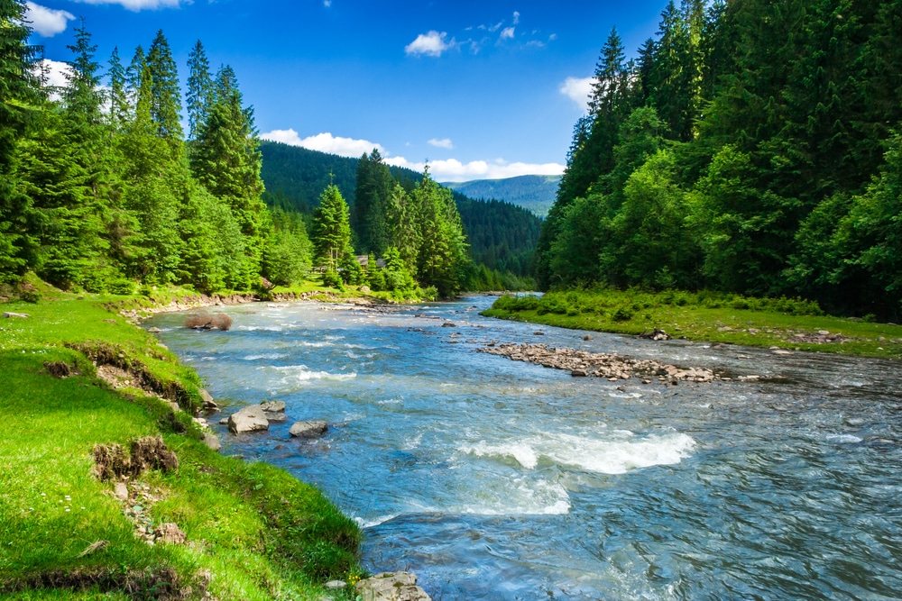Landscape,With,Mountains,,Forest,And,A,River,In,Front.,Beautiful